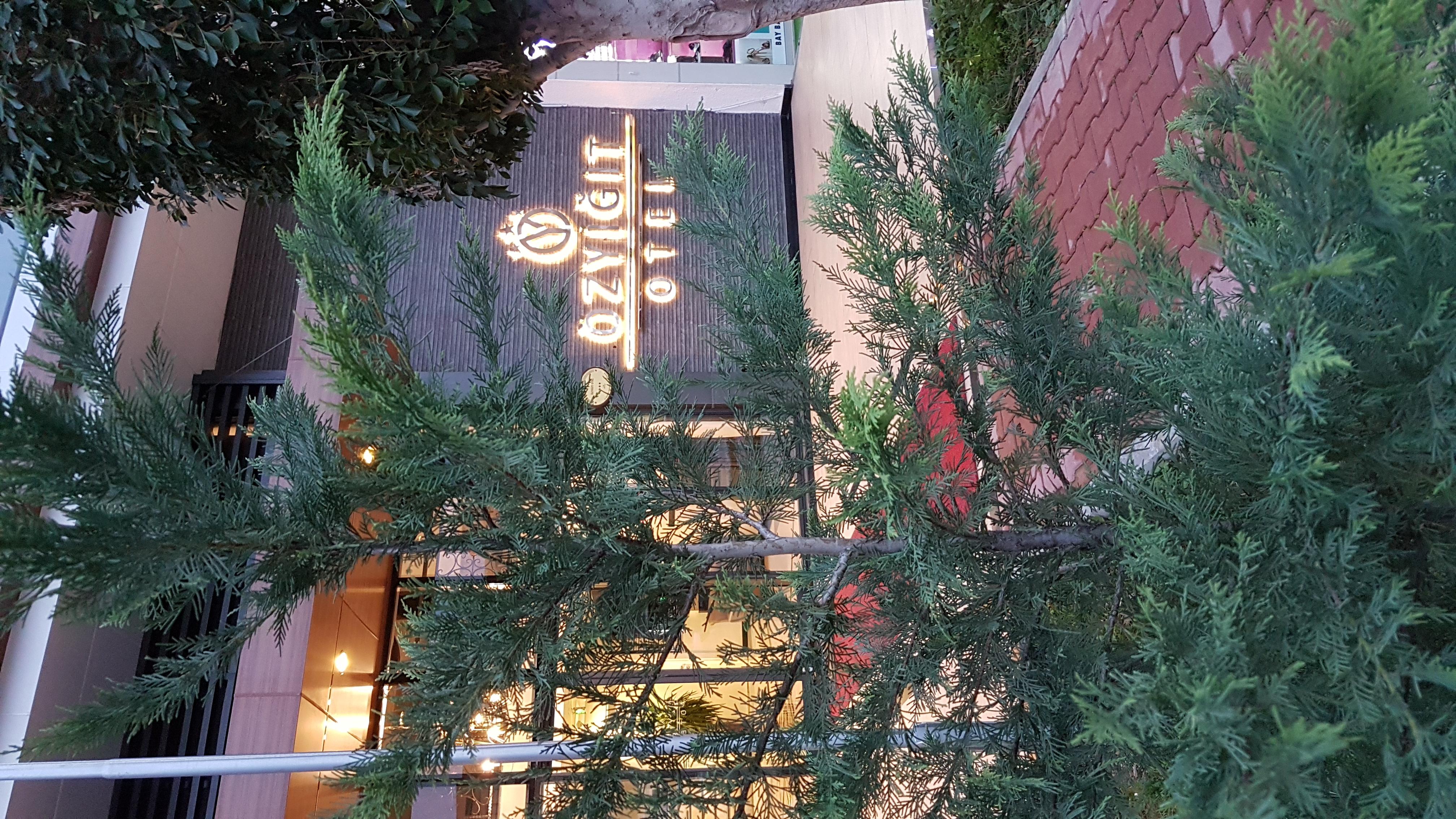 Ozyigit Otel ガジパシャ エクステリア 写真